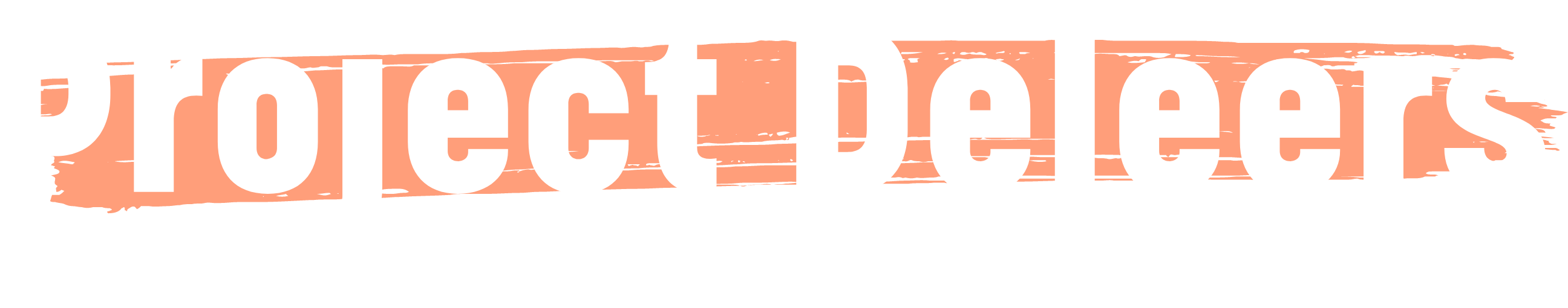 Project Deleers